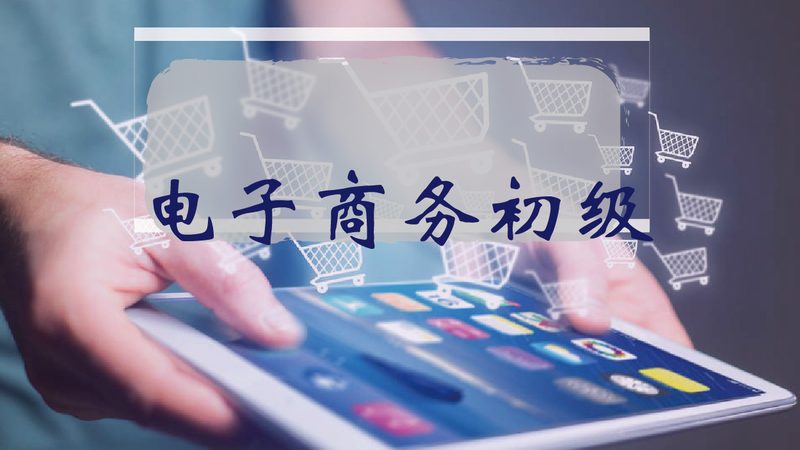 Shopify Plus建站费用：揭秘电商平台的“豪华版”投资