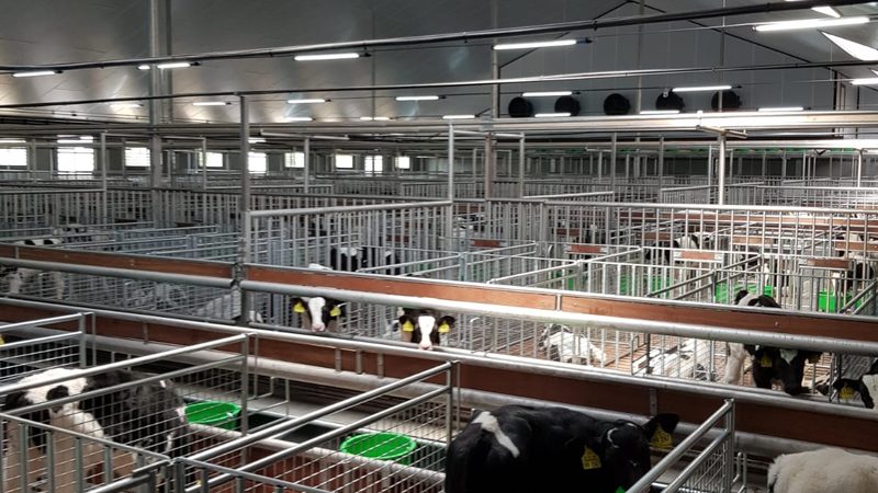 抖音小店选品痛点：流量成本高，转化率低